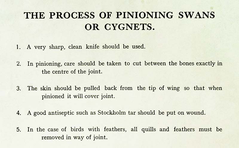 Second part of Letter from Comptroller of the Household to Oxfordshire County Council, 1934